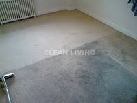 Clean Living Services 351685 Image 0